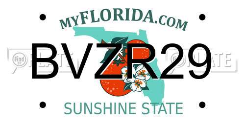 BVZR29 Florida License Plate