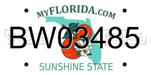 BW03485 Florida License Plate