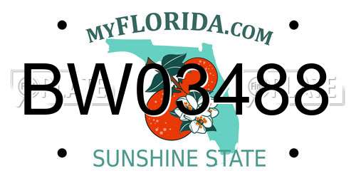 BW03488 Florida License Plate
