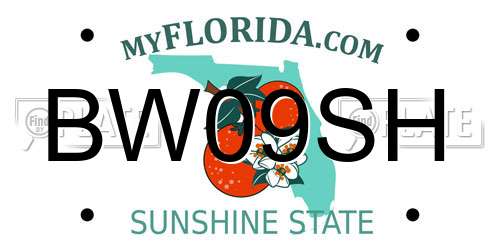 BW09SH Florida License Plate