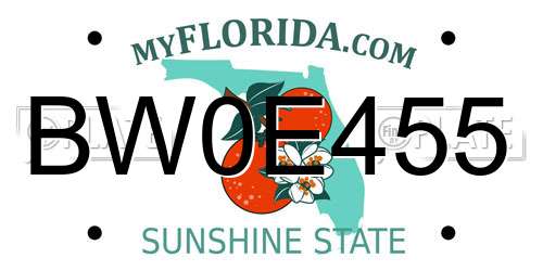 BW0E455 Florida License Plate