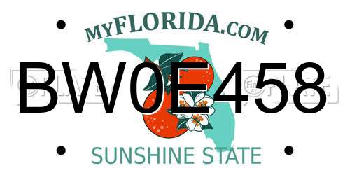 BW0E458 Florida License Plate