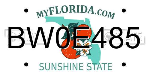 BW0E485 Florida License Plate