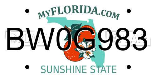 BW0G983 Florida License Plate
