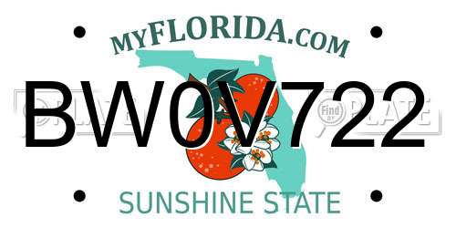 BW0V722 Florida License Plate
