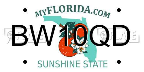 BW10QD Florida License Plate