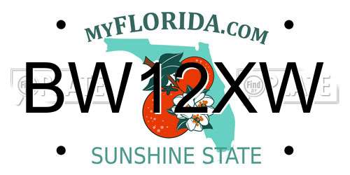BW12XW Florida License Plate