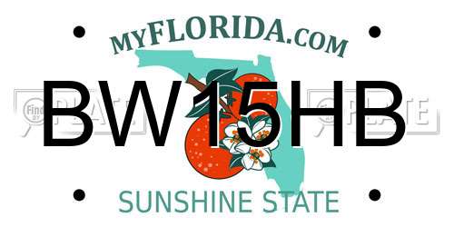BW15HB Florida License Plate