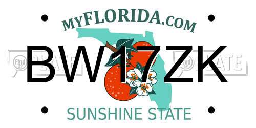 BW17ZK Florida License Plate