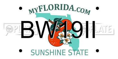 BW19II Florida License Plate