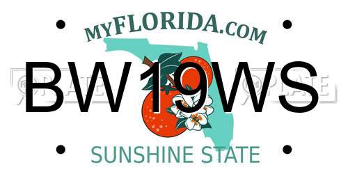BW19WS Florida License Plate