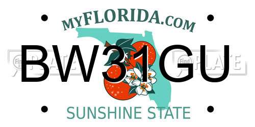 BW31GU Florida License Plate