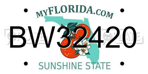 BW32420 Florida License Plate