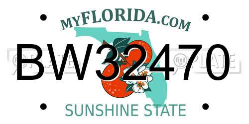 BW32470 Florida License Plate