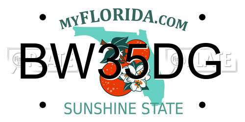 BW35DG Florida License Plate