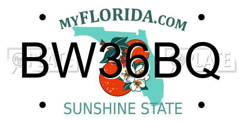 BW36BQ Florida License Plate