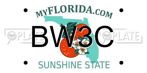 BW3C Florida License Plate