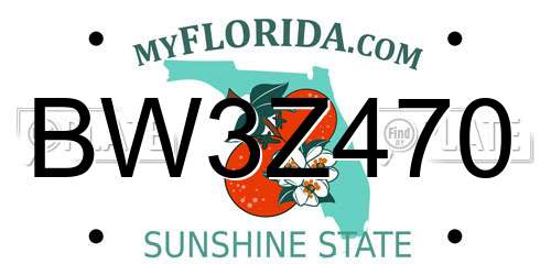 BW3Z470 Florida License Plate