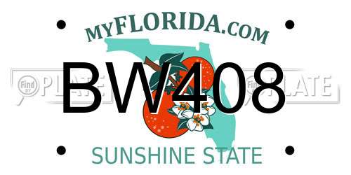 BW408 Florida License Plate