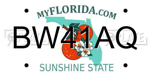BW41AQ Florida License Plate