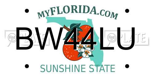 BW44LU Florida License Plate