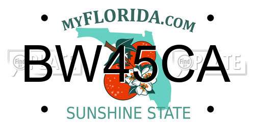 BW45CA Florida License Plate
