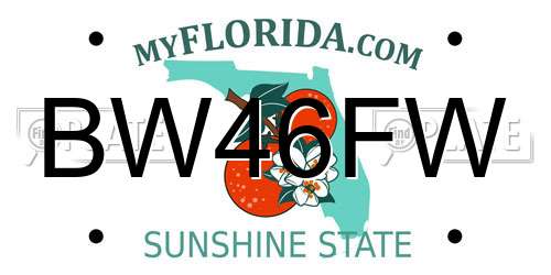 BW46FW Florida License Plate