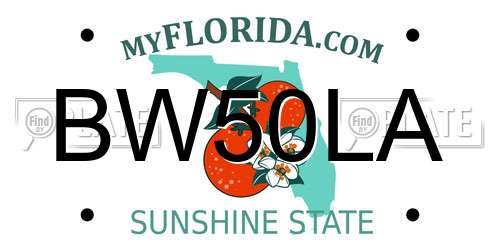 BW50LA Florida License Plate