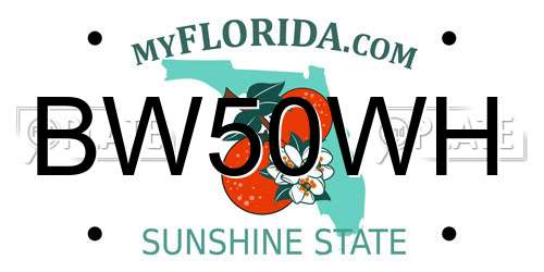 BW50WH Florida License Plate