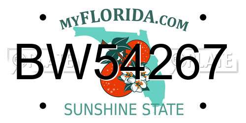 BW54267 Florida License Plate