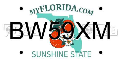 BW59XM Florida License Plate