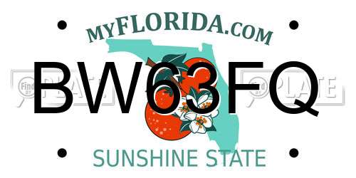 BW63FQ Florida License Plate