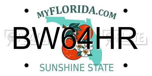BW64HR Florida License Plate