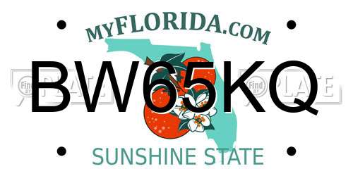 BW65KQ Florida License Plate