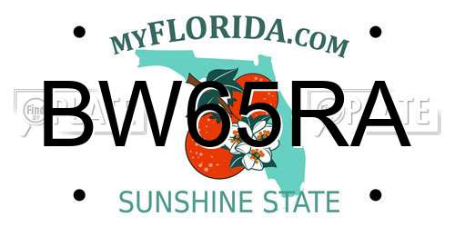 BW65RA Florida License Plate
