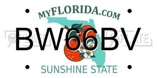 BW66BV Florida License Plate