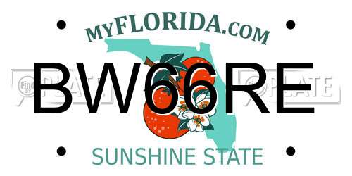 BW66RE Florida License Plate