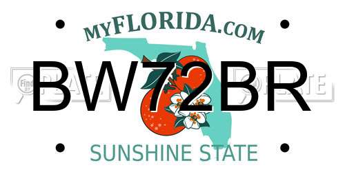 BW72BR Florida License Plate