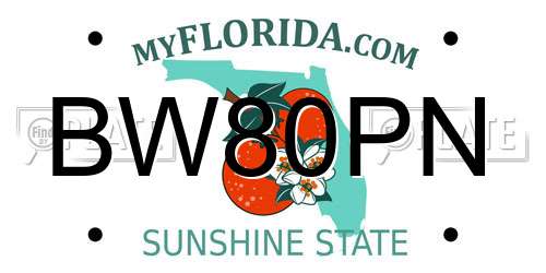 BW80PN Florida License Plate