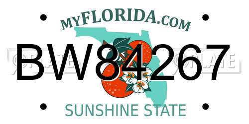 BW84267 Florida License Plate