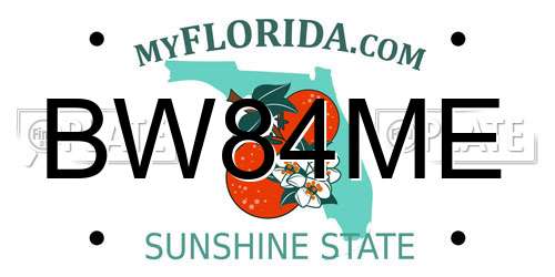 BW84ME Florida License Plate