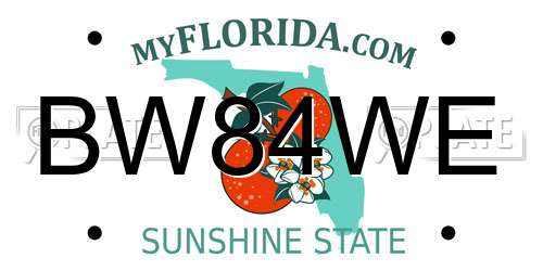 BW84WE Florida License Plate