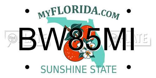 BW85MI Florida License Plate