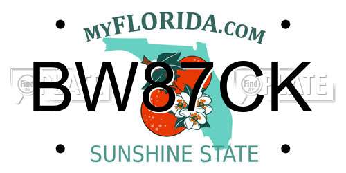 BW87CK Florida License Plate