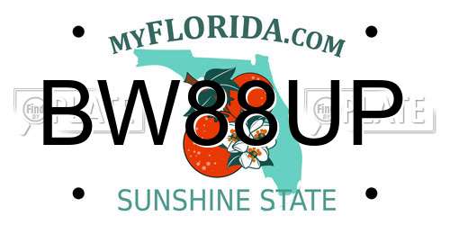 BW88UP Florida License Plate