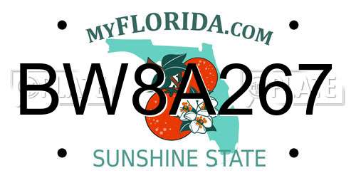 BW8A267 Florida License Plate