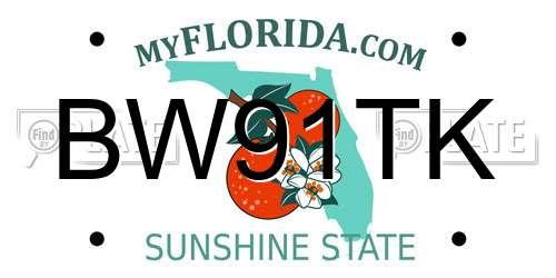 BW91TK Florida License Plate