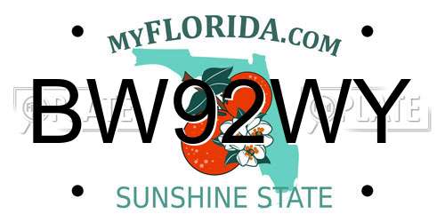 BW92WY Florida License Plate