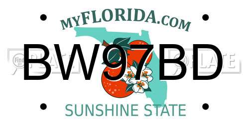 BW97BD Florida License Plate