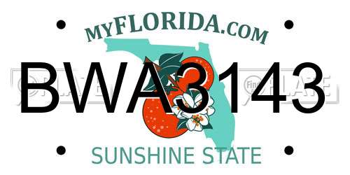 BWA3143 Florida License Plate